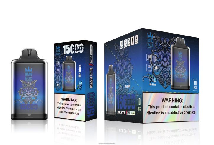 Bang Box s1-15000 퍼프 4L482109 - Disposable Vape South Korea 미스터 블루