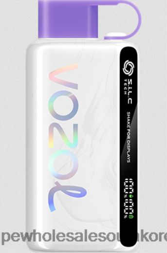 Disposable Vape South Korea ZH46LV13 - VOZOL STAR 포도 얼음 9000/12000 5%