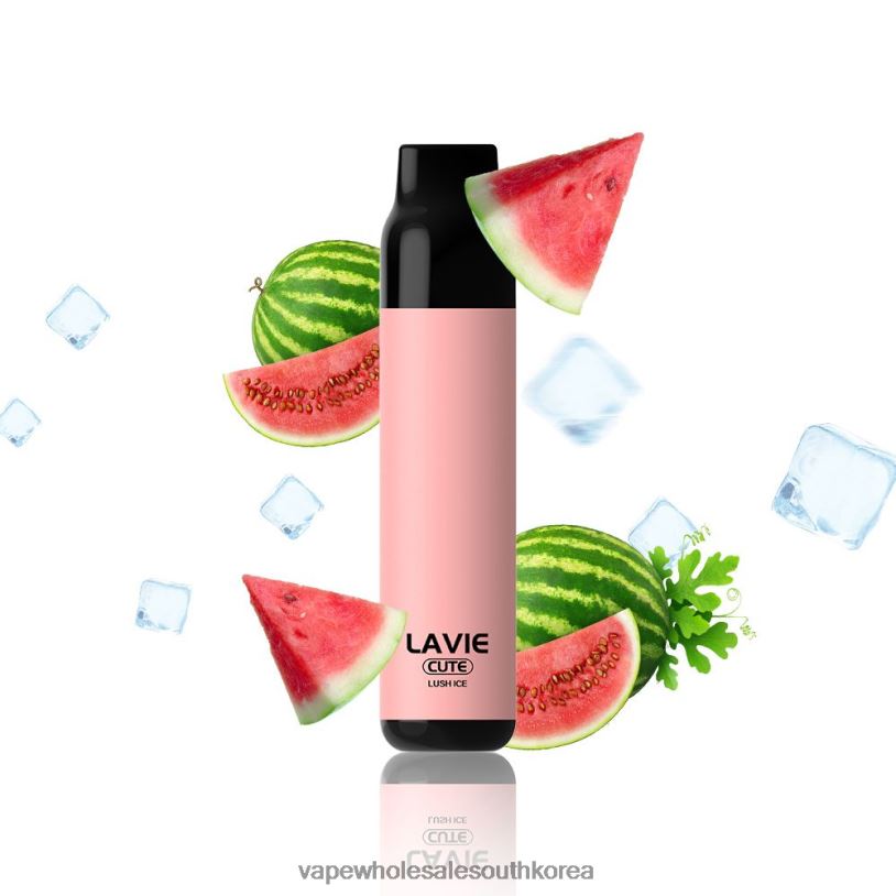 LAVIE BAR 3000 퍼프 PR2FN285 | E Cigarette Seoul 무성한 얼음