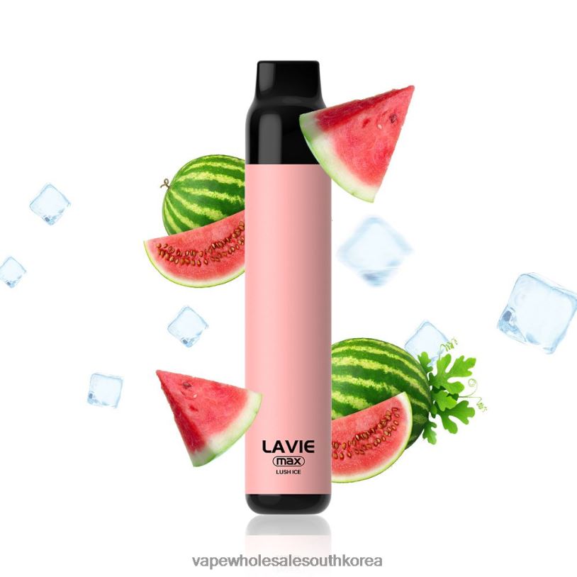 LAVIE BAR 5000회 퍼프 - 최대 PR2FN277 | 전자담배 한국 무성한 얼음