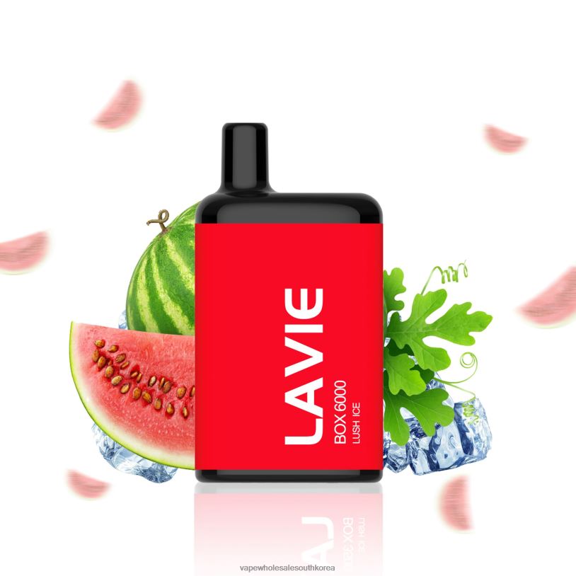 LAVIE BOX 6000 퍼프 PR2FN199 | Vape Wholesale South Korea 무성한 얼음